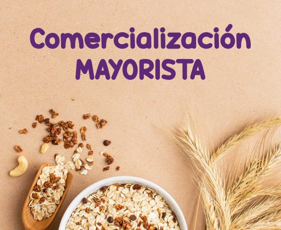 COMERCIALIZACIÓN-MAYORISTA